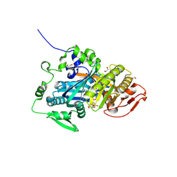 BU of 5iv3 by Molmil