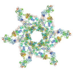 BU of 5iv7 by Molmil