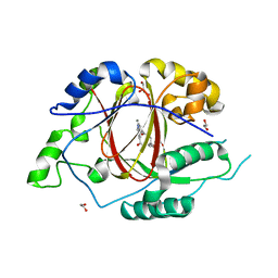 BU of 5ivc by Molmil