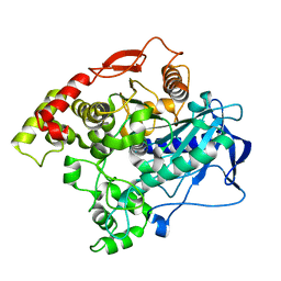 BU of 5ivd by Molmil