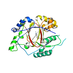 BU of 5ivf by Molmil