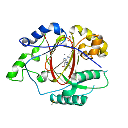 BU of 5ivj by Molmil