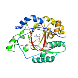 BU of 5iwf by Molmil