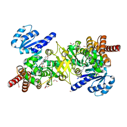 BU of 5jbi by Molmil