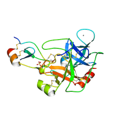 BU of 5jbt by Molmil