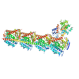 BU of 5jcb by Molmil