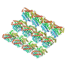 BU of 5jco by Molmil