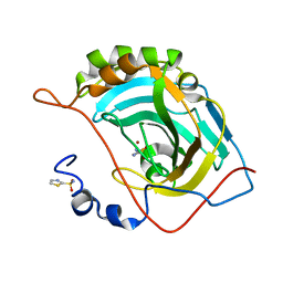 BU of 5jgt by Molmil