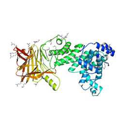 BU of 5jmf by Molmil