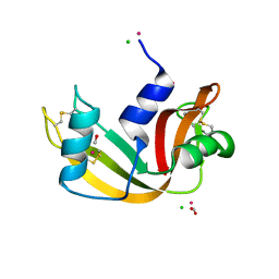 BU of 5jml by Molmil