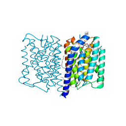 BU of 5jnq by Molmil