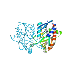 BU of 5jpc by Molmil