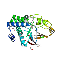 BU of 5jpf by Molmil