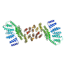 BU of 5jpz by Molmil