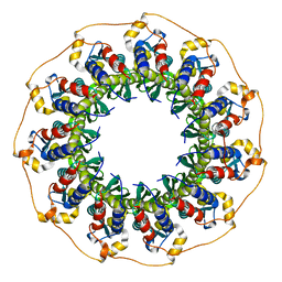 BU of 5jrb by Molmil