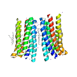 BU of 5jsi by Molmil