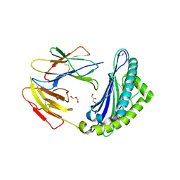BU of 5jwd by Molmil