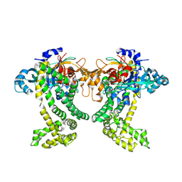 BU of 5jwf by Molmil