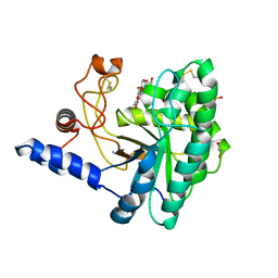 AU of 5jx6 by Molmil