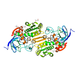 BU of 5kcp by Molmil