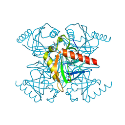 BU of 5kde by Molmil