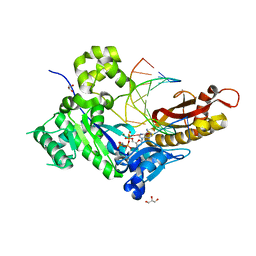 BU of 5kfp by Molmil