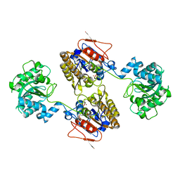 BU of 5kgm by Molmil