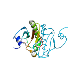 AU of 5km7 by Molmil