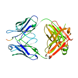 AU of 5kna by Molmil