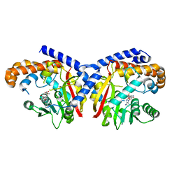 BU of 5kpc by Molmil