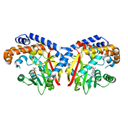 BU of 5kpg by Molmil