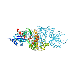 BU of 5kpt by Molmil