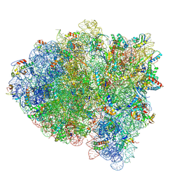 BU of 5kpv by Molmil