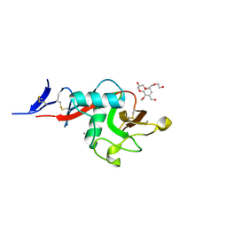 BU of 5kti by Molmil