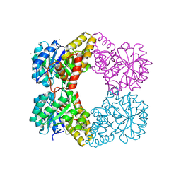 BU of 5ktl by Molmil