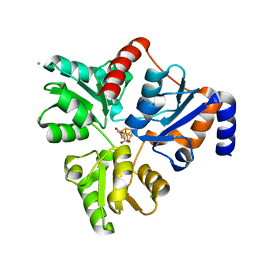 BU of 5ktp by Molmil