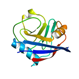 BU of 5kv6 by Molmil