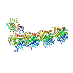 BU of 5kx5 by Molmil