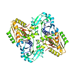 BU of 5kxq by Molmil