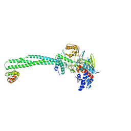 BU of 5l3g by Molmil