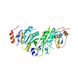 BU of 5l6d by Molmil