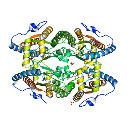 BU of 5lcd by Molmil