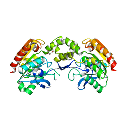 BU of 5lcn by Molmil