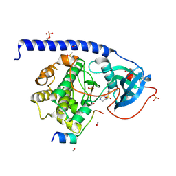 BU of 5lcp by Molmil