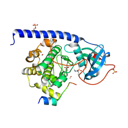 BU of 5lcu by Molmil