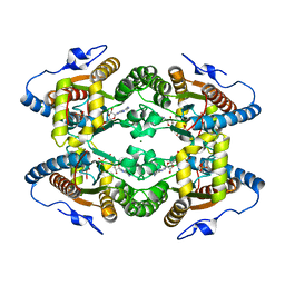 BU of 5ldb by Molmil