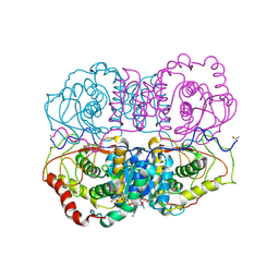 BU of 5ldh by Molmil