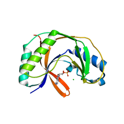 BU of 5ldm by Molmil