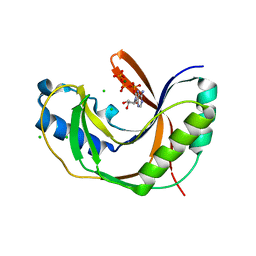 BU of 5ldp by Molmil