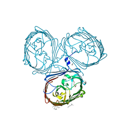 BU of 5ldv by Molmil